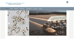 Desktop Screenshot of algaeconsortium.com
